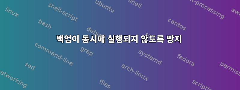 백업이 동시에 실행되지 않도록 방지