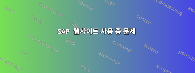 SAP 웹사이트 사용 중 문제