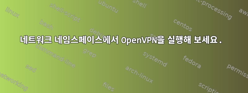 네트워크 네임스페이스에서 OpenVPN을 실행해 보세요.