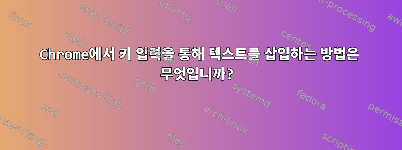 Chrome에서 키 입력을 통해 텍스트를 삽입하는 방법은 무엇입니까?