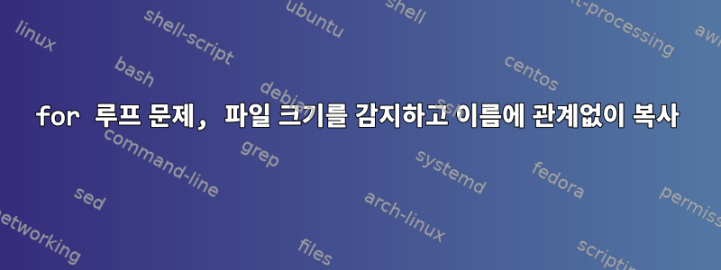 for 루프 문제, 파일 크기를 감지하고 이름에 관계없이 복사