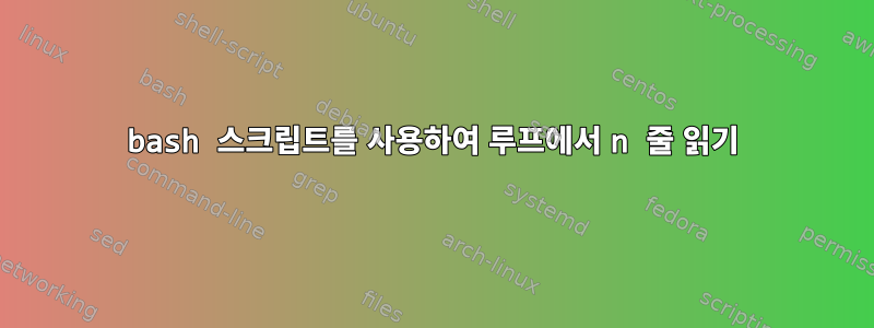 bash 스크립트를 사용하여 루프에서 n 줄 읽기