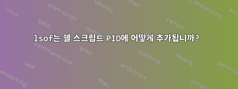 lsof는 쉘 스크립트 PID에 어떻게 추가됩니까?