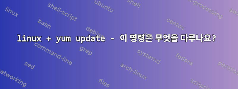 linux + yum update - 이 명령은 무엇을 다루나요?