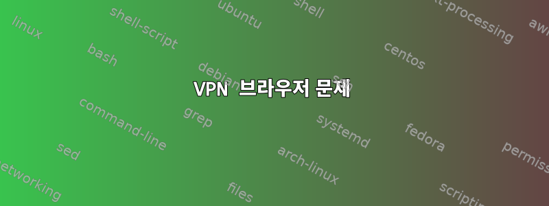 VPN 브라우저 문제