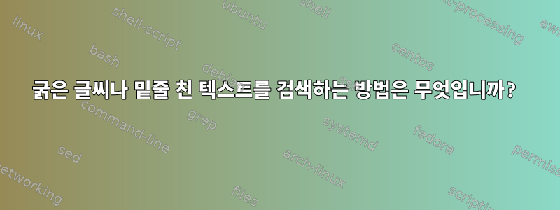 굵은 글씨나 밑줄 친 텍스트를 검색하는 방법은 무엇입니까?