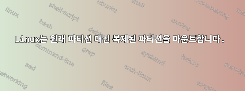 Linux는 원래 파티션 대신 복제된 파티션을 마운트합니다.