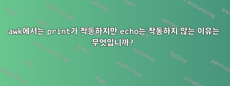 awk에서는 print가 작동하지만 echo는 작동하지 않는 이유는 무엇입니까?