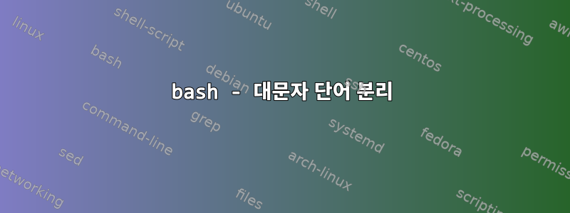 bash - 대문자 단어 분리