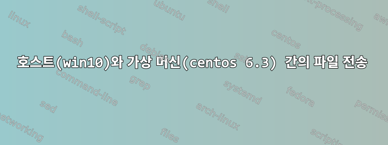 호스트(win10)와 가상 머신(centos 6.3) 간의 파일 전송