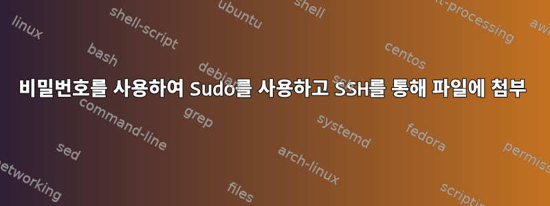 비밀번호를 사용하여 Sudo를 사용하고 SSH를 통해 파일에 첨부