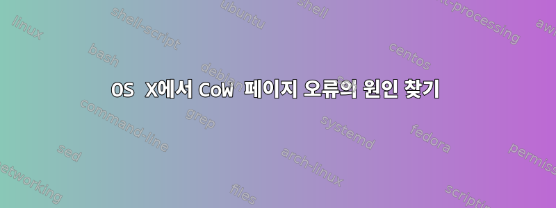 OS X에서 CoW 페이지 오류의 원인 찾기