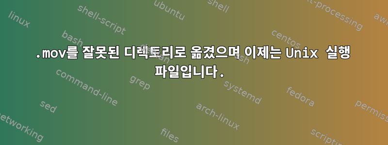 .mov를 잘못된 디렉토리로 옮겼으며 이제는 Unix 실행 파일입니다.