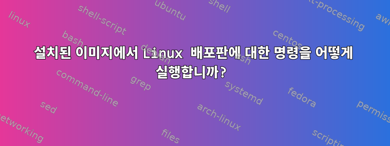 설치된 이미지에서 Linux 배포판에 대한 명령을 어떻게 실행합니까?