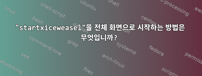 "startxiceweasel"을 전체 화면으로 시작하는 방법은 무엇입니까?