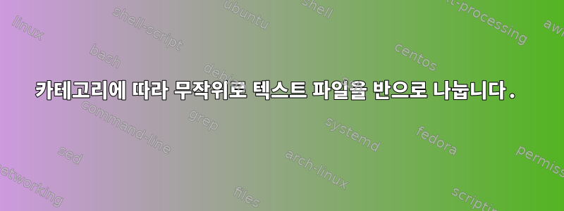 카테고리에 따라 무작위로 텍스트 파일을 반으로 나눕니다.