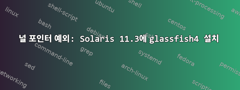 널 포인터 예외: Solaris 11.3에 glassfish4 설치