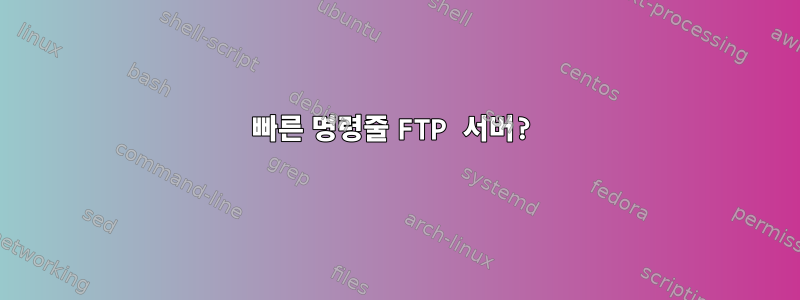 빠른 명령줄 FTP 서버?