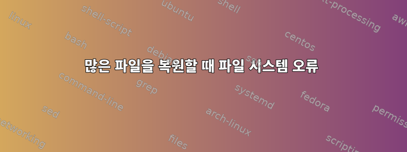 많은 파일을 복원할 때 파일 시스템 오류