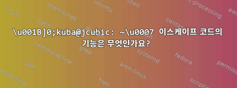 \u001B]0;kuba@jcubic: ~\u0007 이스케이프 코드의 기능은 무엇인가요?