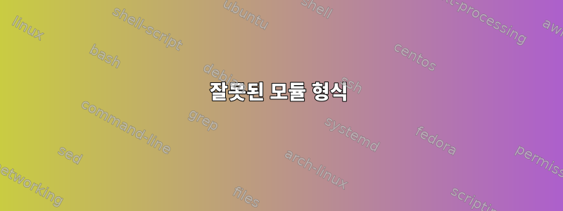 잘못된 모듈 형식