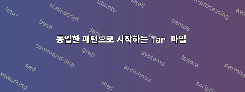 동일한 패턴으로 시작하는 Tar 파일