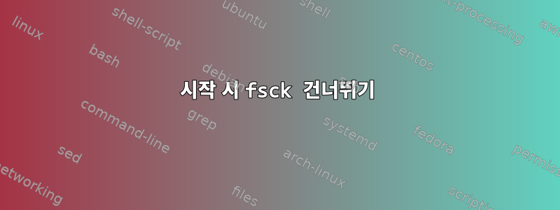 시작 시 fsck 건너뛰기