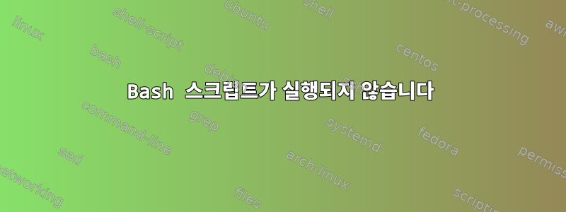 Bash 스크립트가 실행되지 않습니다