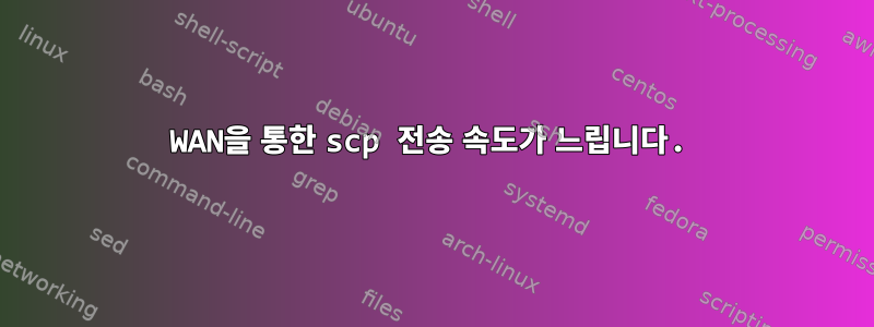 WAN을 통한 scp 전송 속도가 느립니다.