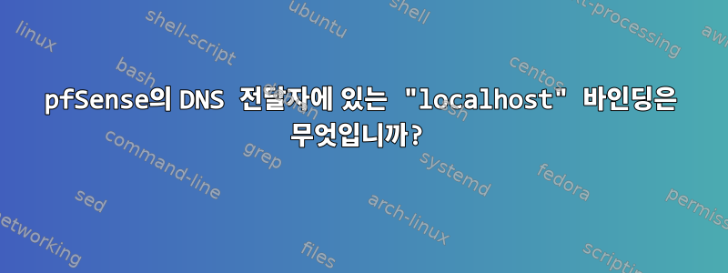 pfSense의 DNS 전달자에 있는 "localhost" 바인딩은 무엇입니까?