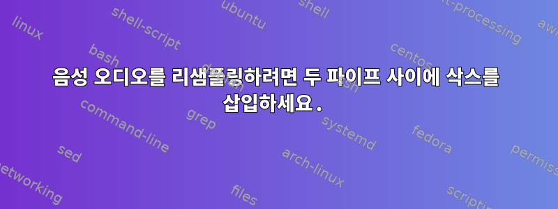 음성 오디오를 리샘플링하려면 두 파이프 사이에 삭스를 삽입하세요.