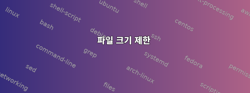 파일 크기 제한