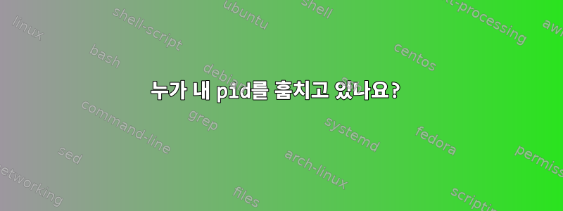 누가 내 pid를 훔치고 있나요?