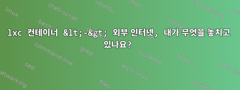 lxc 컨테이너 &lt;-&gt; 외부 인터넷, 내가 무엇을 놓치고 있나요?