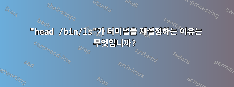 "head /bin/ls"가 터미널을 재설정하는 이유는 무엇입니까?