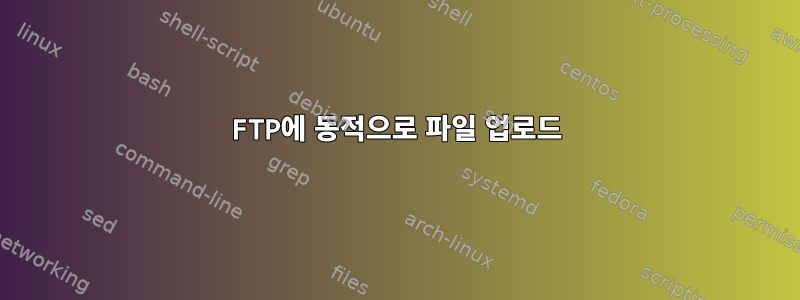 FTP에 동적으로 파일 업로드