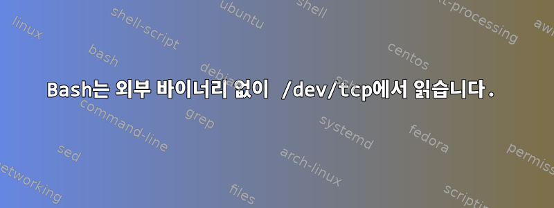 Bash는 외부 바이너리 없이 /dev/tcp에서 읽습니다.