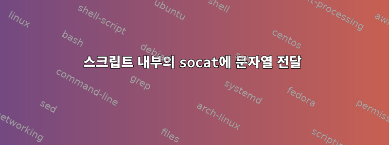 스크립트 내부의 socat에 문자열 전달