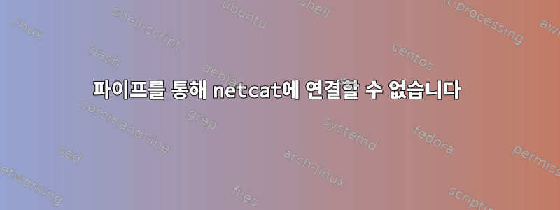 파이프를 통해 netcat에 연결할 수 없습니다