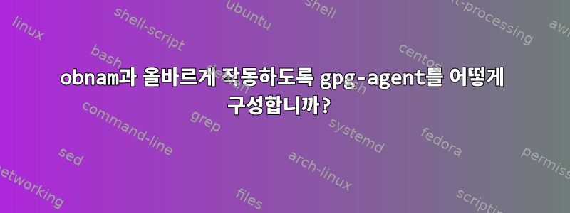 obnam과 올바르게 작동하도록 gpg-agent를 어떻게 구성합니까?