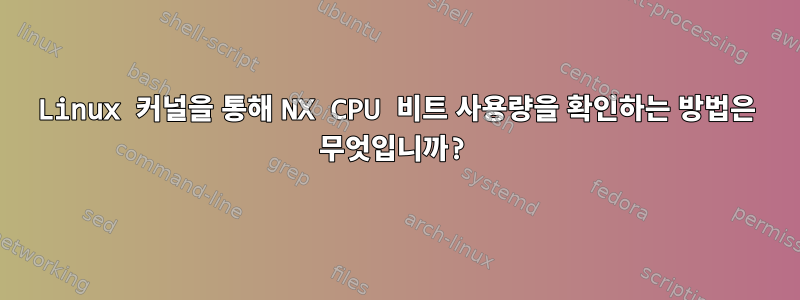 Linux 커널을 통해 NX CPU 비트 사용량을 확인하는 방법은 무엇입니까?