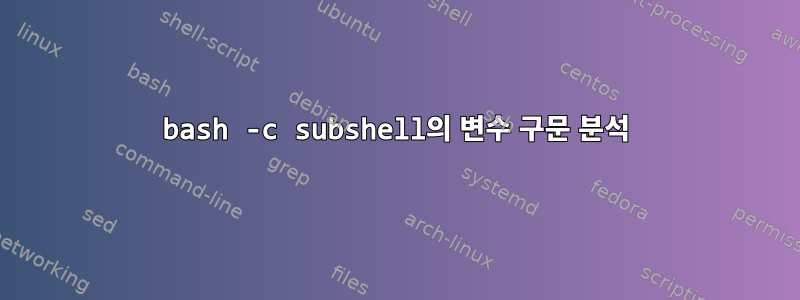 bash -c subshell의 변수 구문 분석