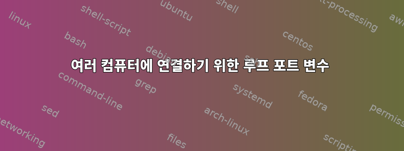 여러 컴퓨터에 연결하기 위한 루프 포트 변수