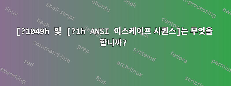 [?1049h 및 [?1h ANSI 이스케이프 시퀀스]는 무엇을 합니까?