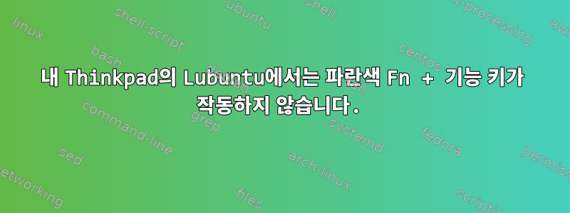 내 Thinkpad의 Lubuntu에서는 파란색 Fn + 기능 키가 작동하지 않습니다.