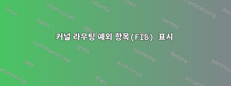 커널 라우팅 예외 항목(FIB) 표시