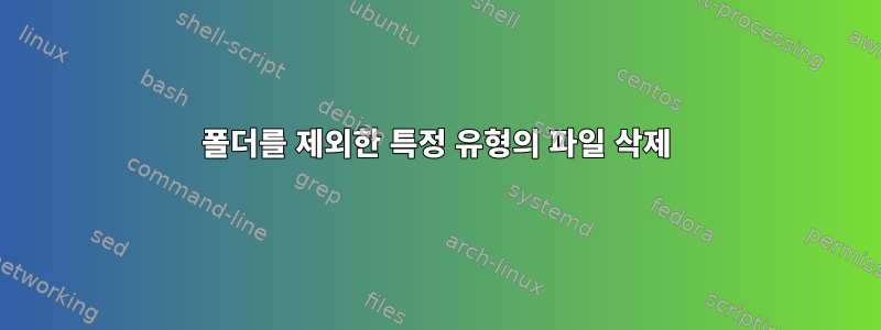 폴더를 제외한 특정 유형의 파일 삭제