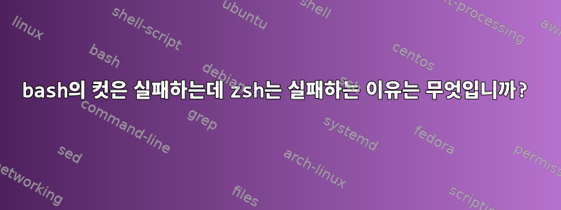 bash의 컷은 실패하는데 zsh는 실패하는 이유는 무엇입니까?