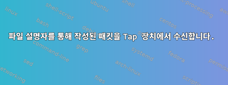 파일 설명자를 통해 작성된 패킷을 Tap 장치에서 수신합니다.