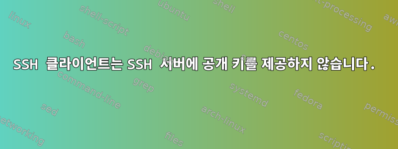 SSH 클라이언트는 SSH 서버에 공개 키를 제공하지 않습니다.